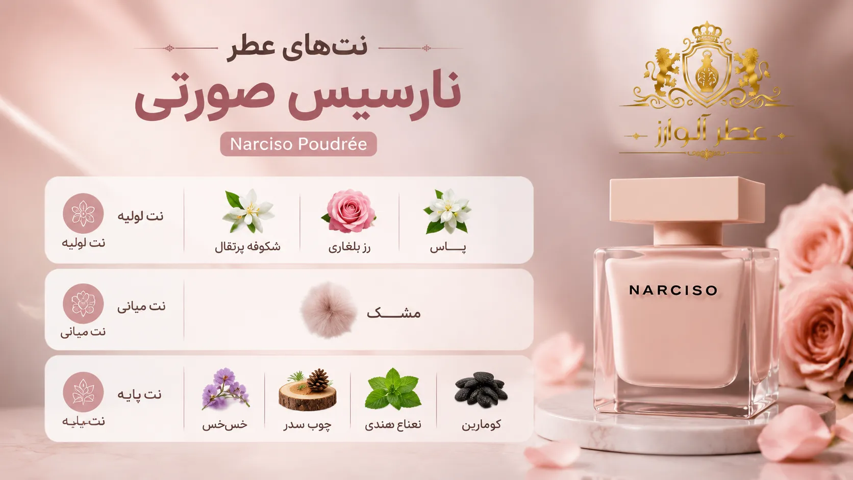 خرید عطر نارسیس صورتی؛ نتهای بویایی عطر نارسیسو رودریگز پودری